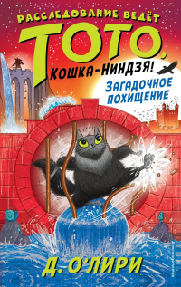 Загадочное похищение - Дэрмот О’Лири - Читать книги онлайн | Слушать аудиокниги онлайн | Электронная библиотека books-lib.com