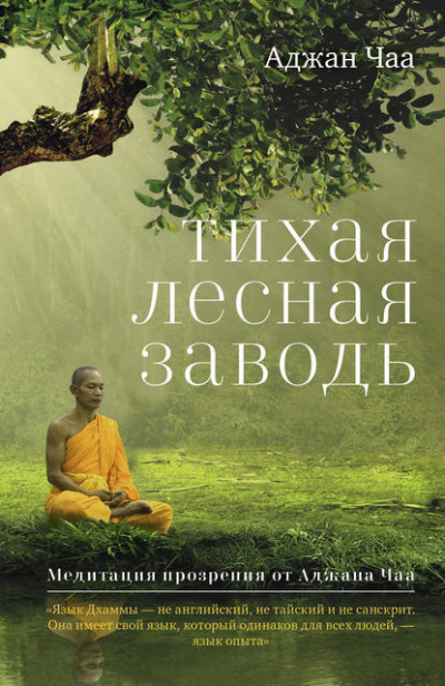 Чаа Аджан - Тихая лесная заводь - Читать книги онлайн | Слушать аудиокниги онлайн | Электронная библиотека books-lib.com
