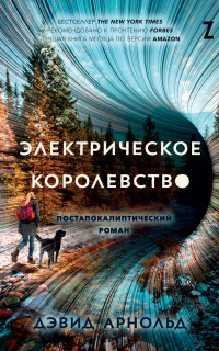Электрическое королевство - Дэвид Арнольд - Читать книги онлайн | Слушать аудиокниги онлайн | Электронная библиотека books-lib.com