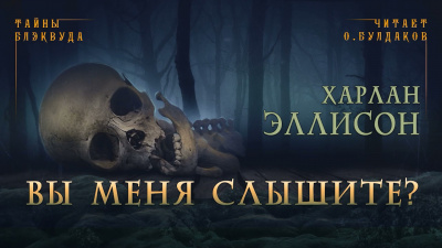 Эллисон Харлан - Вы меня слышите - Читать книги онлайн | Слушать аудиокниги онлайн | Электронная библиотека books-lib.com