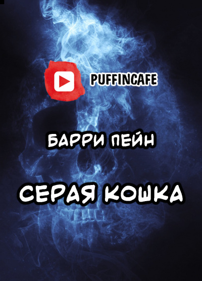 Пейн Барри - Серая кошка - Читать книги онлайн | Слушать аудиокниги онлайн | Электронная библиотека books-lib.com