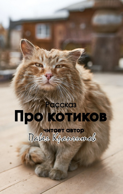 Крапчитов Павел - Про котиков - Читать книги онлайн | Слушать аудиокниги онлайн | Электронная библиотека books-lib.com