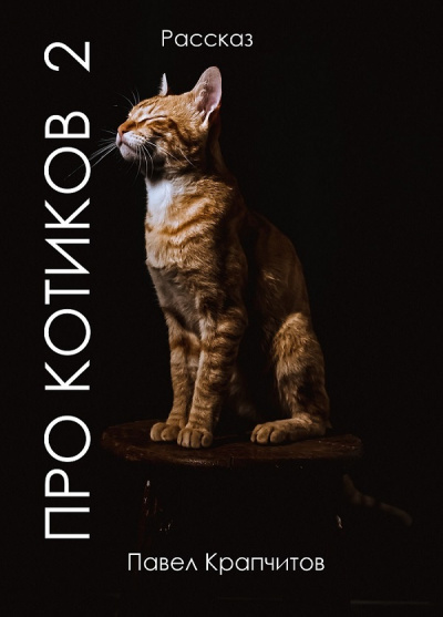 Крапчитов Павел - Про котиков 2 - Читать книги онлайн | Слушать аудиокниги онлайн | Электронная библиотека books-lib.com