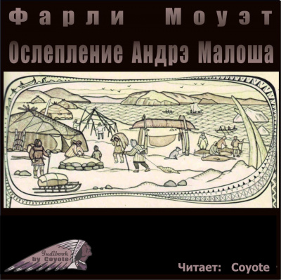 Моуэт Фарли - Ослепление Андрэ Малоша - Читать книги онлайн | Слушать аудиокниги онлайн | Электронная библиотека books-lib.com