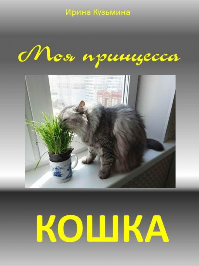 Кузьмина Ирина - Моя принцесса - кошка - Читать книги онлайн | Слушать аудиокниги онлайн | Электронная библиотека books-lib.com