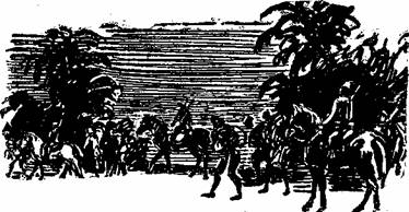Необыкновенные приключения экспедиции Барсака Необыкновенные приключения экспедиции Барсака