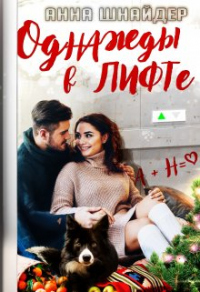 Однажды в лифте - Анна Шнайдер - Читать книги онлайн | Слушать аудиокниги онлайн | Электронная библиотека books-lib.com