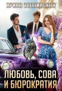 Любовь, сова и бюрократия - Ирина Зволинская - Читать книги онлайн | Слушать аудиокниги онлайн | Электронная библиотека books-lib.com