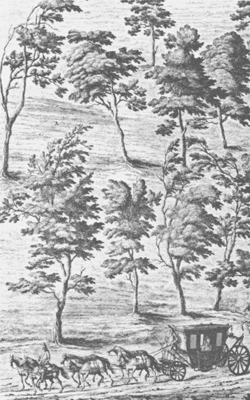Распутник Распутник