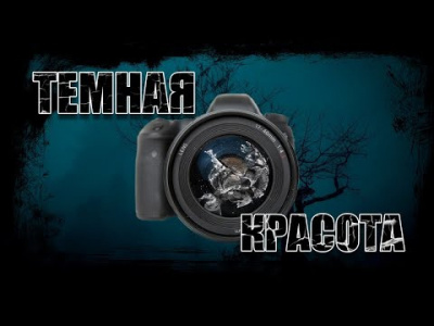 Видинеев Дмитрий - Темная красота - Читать книги онлайн | Слушать аудиокниги онлайн | Электронная библиотека books-lib.com