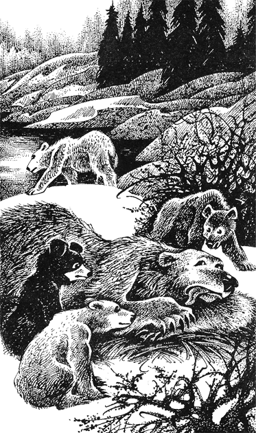 Дымная гора Дымная гора