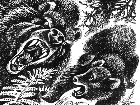 Последняя глушь Последняя глушь