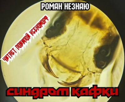 Незнаю Роман - Синдром Кафки - Читать книги онлайн | Слушать аудиокниги онлайн | Электронная библиотека books-lib.com