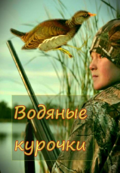 Сурожский Павел - Водяные курочки - Читать книги онлайн | Слушать аудиокниги онлайн | Электронная библиотека books-lib.com