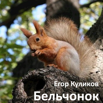 Куликов Егор - Бельчонок - Читать книги онлайн | Слушать аудиокниги онлайн | Электронная библиотека books-lib.com