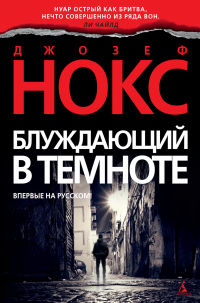 Блуждающий в темноте - Джозеф Нокс - Читать книги онлайн | Слушать аудиокниги онлайн | Электронная библиотека books-lib.com