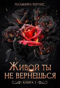 Живой ты не вернешься. Книга 1 - Пальмира Керлис - Читать книги онлайн | Слушать аудиокниги онлайн | Электронная библиотека books-lib.com
