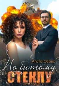 По битому стеклу - Агата Озолс - Читать книги онлайн | Слушать аудиокниги онлайн | Электронная библиотека books-lib.com