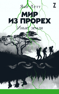 Мир из прорех. Иные земли - Яна Летт - Читать книги онлайн | Слушать аудиокниги онлайн | Электронная библиотека books-lib.com