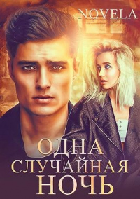 Одна случайная ночь - Novela - Читать книги онлайн | Слушать аудиокниги онлайн | Электронная библиотека books-lib.com