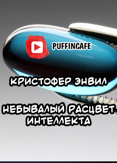 Энвил Кристофер - Небывалый расцвет интеллекта - Читать книги онлайн | Слушать аудиокниги онлайн | Электронная библиотека books-lib.com