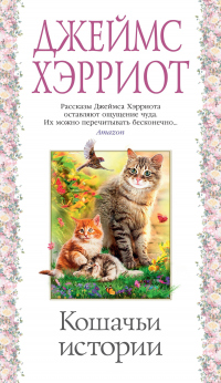 Кошачьи истории - Джеймс Хэрриот - Читать книги онлайн | Слушать аудиокниги онлайн | Электронная библиотека books-lib.com
