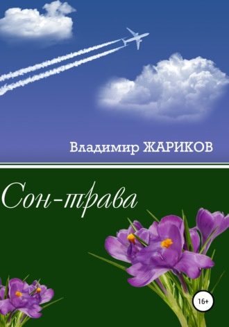 Жариков Владимир - Сон-трава - Читать книги онлайн | Слушать аудиокниги онлайн | Электронная библиотека books-lib.com
