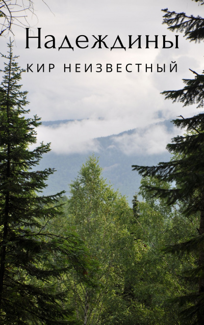 Кир Неизвестный - Надеждины - Читать книги онлайн | Слушать аудиокниги онлайн | Электронная библиотека books-lib.com