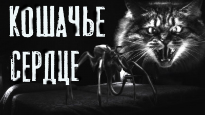 Темир Руслан - Кошачье сердце - Читать книги онлайн | Слушать аудиокниги онлайн | Электронная библиотека books-lib.com