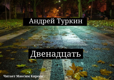 Туркин Андрей - Двенадцать - Читать книги онлайн | Слушать аудиокниги онлайн | Электронная библиотека books-lib.com