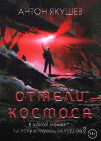 Отмели космоса - Антон Якушев - Читать книги онлайн | Слушать аудиокниги онлайн | Электронная библиотека books-lib.com