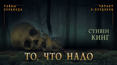 Кинг Стивен - То, что надо - Читать книги онлайн | Слушать аудиокниги онлайн | Электронная библиотека books-lib.com