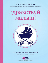 Здравствуй, малыш! Как прожить четвертый триместр без забот и волнений - Елена Березовская - Читать книги онлайн | Слушать аудиокниги онлайн | Электронная библиотека books-lib.com