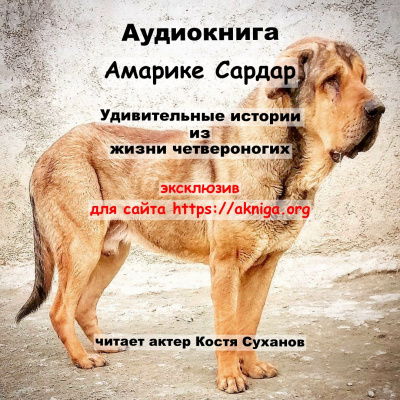 Амарике Сардар - Удивительные истории из жизни четвероногих - Читать книги онлайн | Слушать аудиокниги онлайн | Электронная библиотека books-lib.com