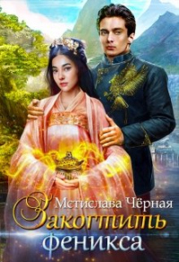 Закогтить феникса - Мстислава Черная - Читать книги онлайн | Слушать аудиокниги онлайн | Электронная библиотека books-lib.com