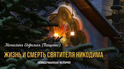Пащенко Евфимия - Жизнь и смерть святителя Никодима - Читать книги онлайн | Слушать аудиокниги онлайн | Электронная библиотека books-lib.com