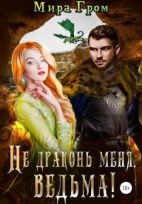 Не драконь меня, Ведьма! - Мира Гром - Читать книги онлайн | Слушать аудиокниги онлайн | Электронная библиотека books-lib.com