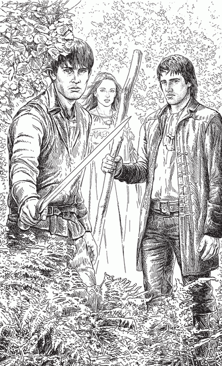 Распутья. Добрые соседи