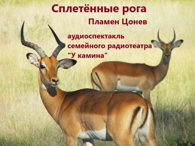 Цонев Пламен - Сплетённые рога - Читать книги онлайн | Слушать аудиокниги онлайн | Электронная библиотека books-lib.com