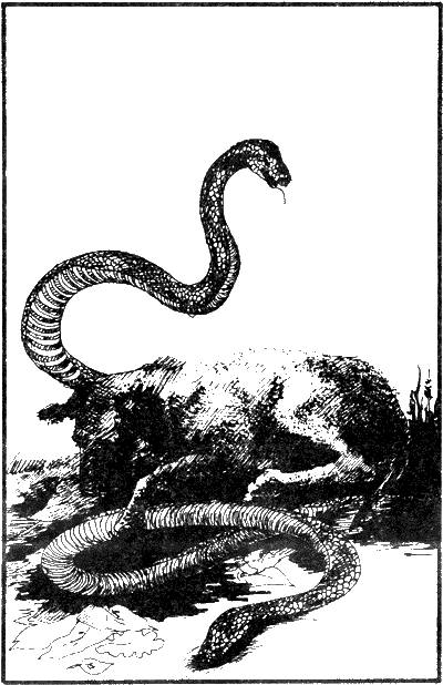 История моих животных История моих животных
