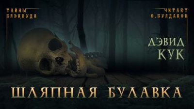 Кук Дэвид - Шляпная булавка - Читать книги онлайн | Слушать аудиокниги онлайн | Электронная библиотека books-lib.com