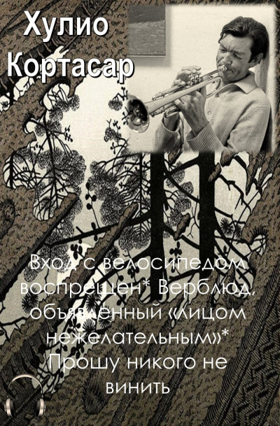 Кортасар Хулио - Вход с велосипедом воспрещен - Читать книги онлайн | Слушать аудиокниги онлайн | Электронная библиотека books-lib.com