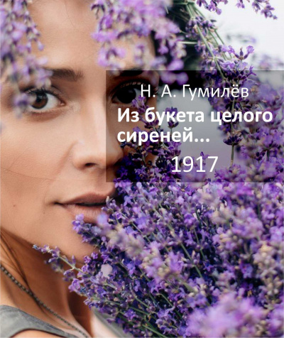 Гумилёв Николай - Из букета целого сиреней... - Читать книги онлайн | Слушать аудиокниги онлайн | Электронная библиотека books-lib.com