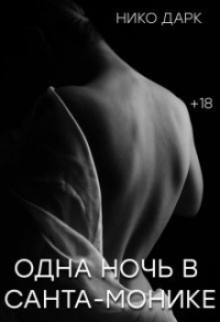 Одна ночь в Санта-Монике - Нико Дарк - Читать книги онлайн | Слушать аудиокниги онлайн | Электронная библиотека books-lib.com