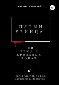 Пятый убийца, или Этюд в кровавых тонах - Андрей Себежский - Читать книги онлайн | Слушать аудиокниги онлайн | Электронная библиотека books-lib.com
