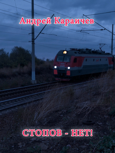 Караичев Андрей - Стопов - нет - Читать книги онлайн | Слушать аудиокниги онлайн | Электронная библиотека books-lib.com