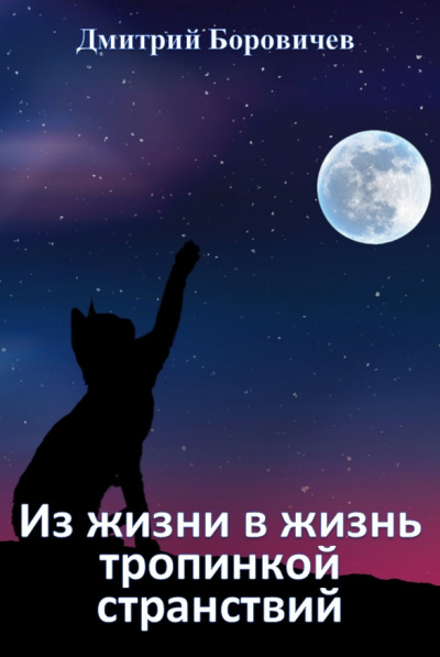 Боровичёв Дмитрий - Из жизни в жизнь тропинкой странствий - Читать книги онлайн | Слушать аудиокниги онлайн | Электронная библиотека books-lib.com