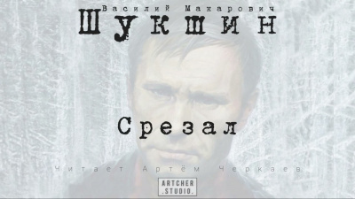 Шукшин Василий - Срезал - Читать книги онлайн | Слушать аудиокниги онлайн | Электронная библиотека books-lib.com