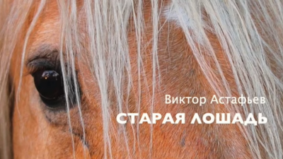 Астафьев Виктор - Старая лошадь - Читать книги онлайн | Слушать аудиокниги онлайн | Электронная библиотека books-lib.com