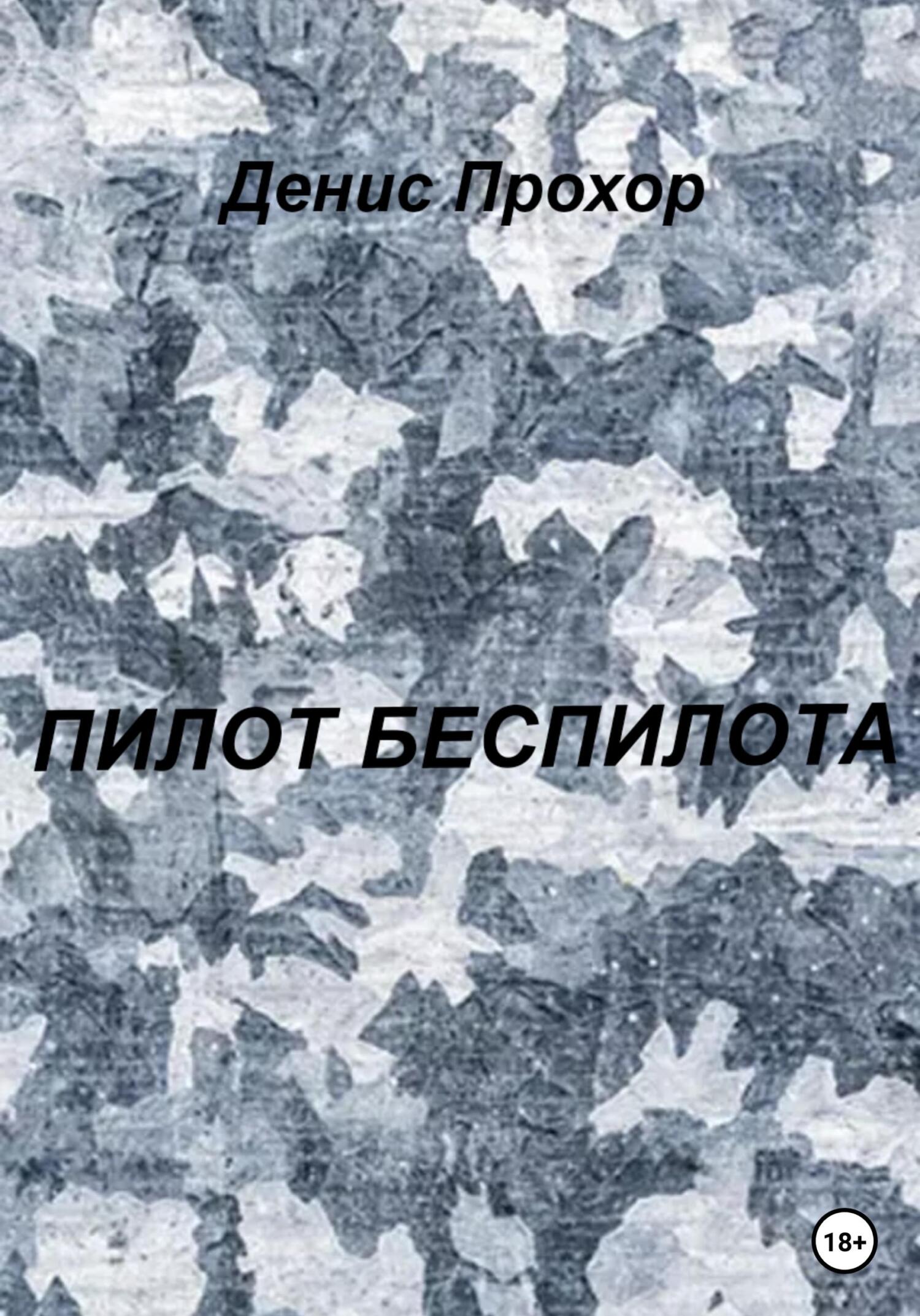 Пилот беспилота - Денис Викторович Прохор - Читать книги онлайн | Слушать аудиокниги онлайн | Электронная библиотека books-lib.com